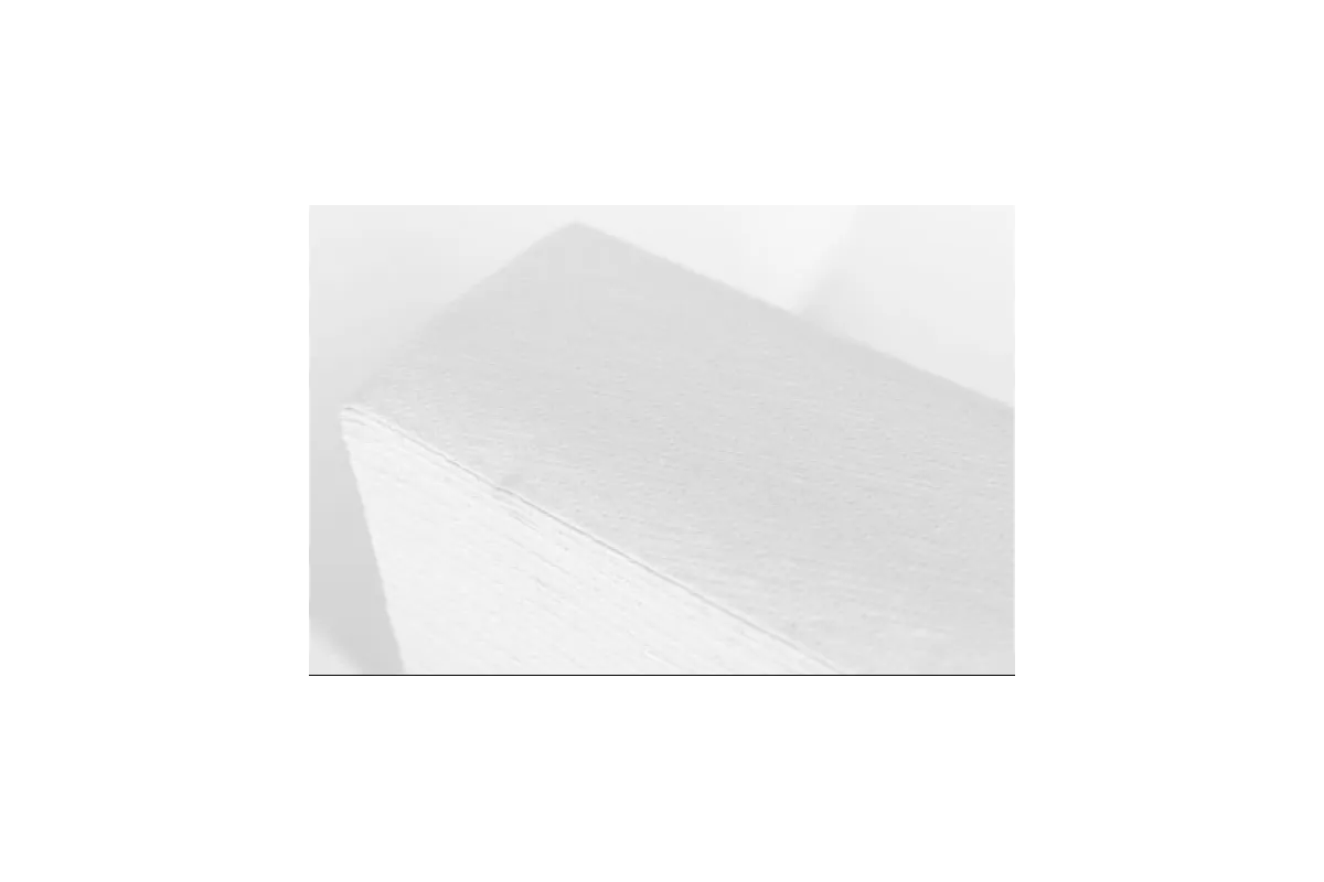 POJEDYNCZE RĘCZNIKI PAPIEROWE VTE201