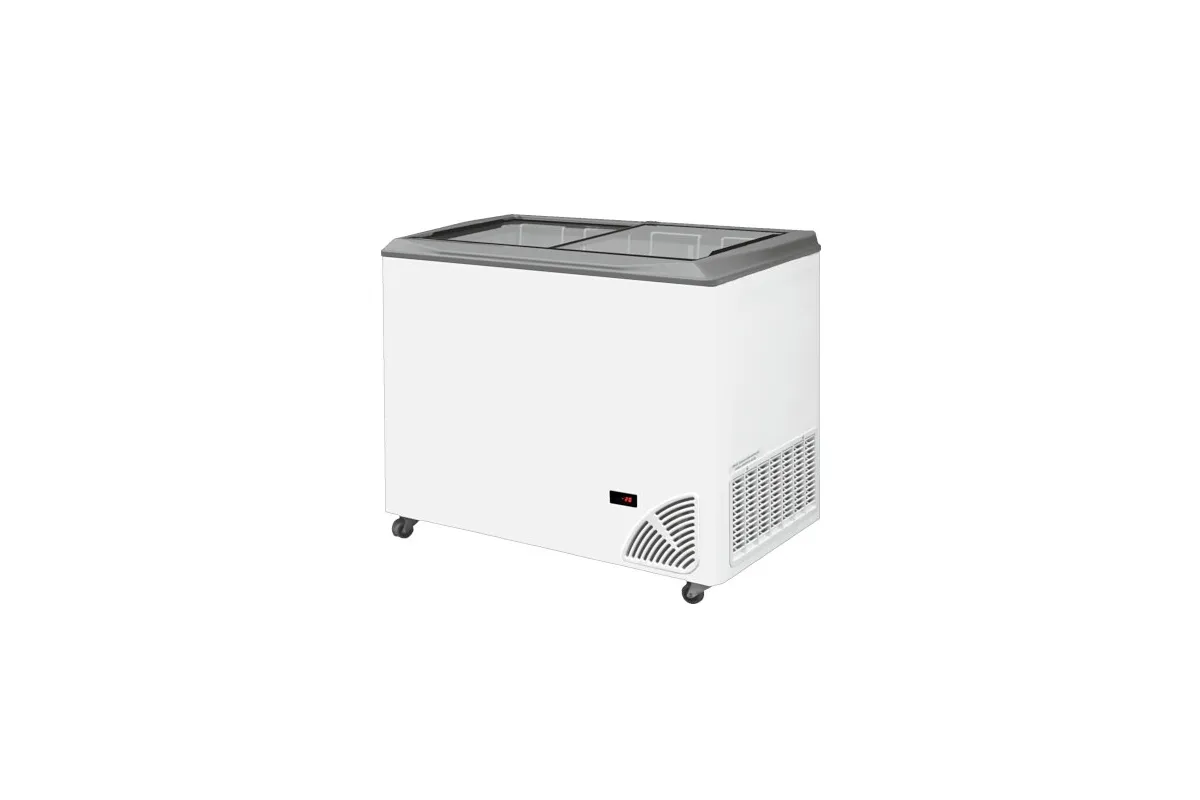 Zamrażarka z płaską szybą BYFAL ARO-300/2