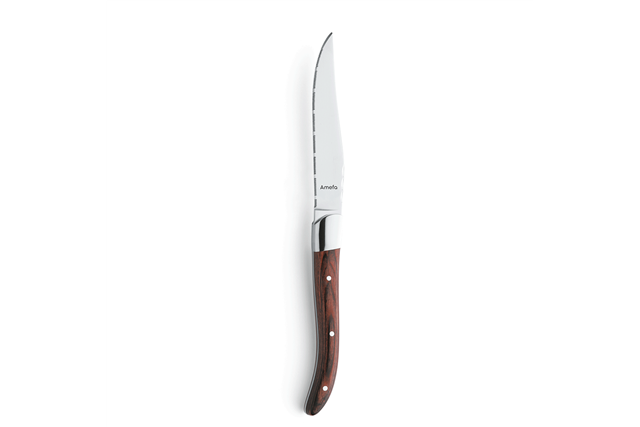 Nóż stekowy ząbkowany Amefa linia Royal Steak 252000B000113