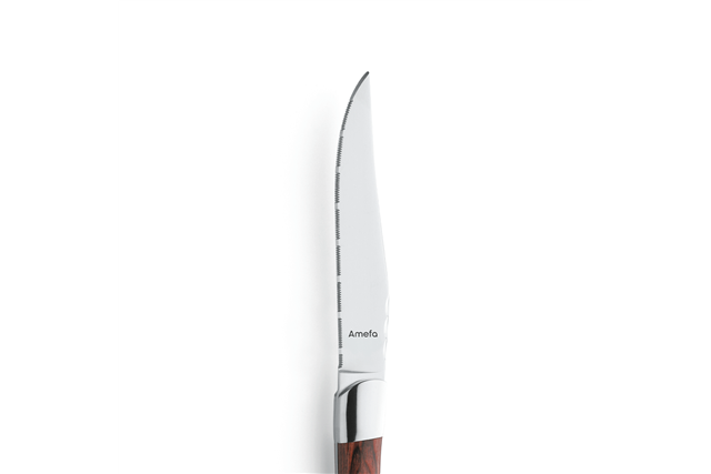 Nóż stekowy ząbkowany Amefa linia Royal Steak 252000B000113