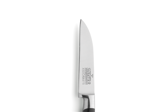 Nóż do warzyw Amefa linia V Sabatier R07000P096120