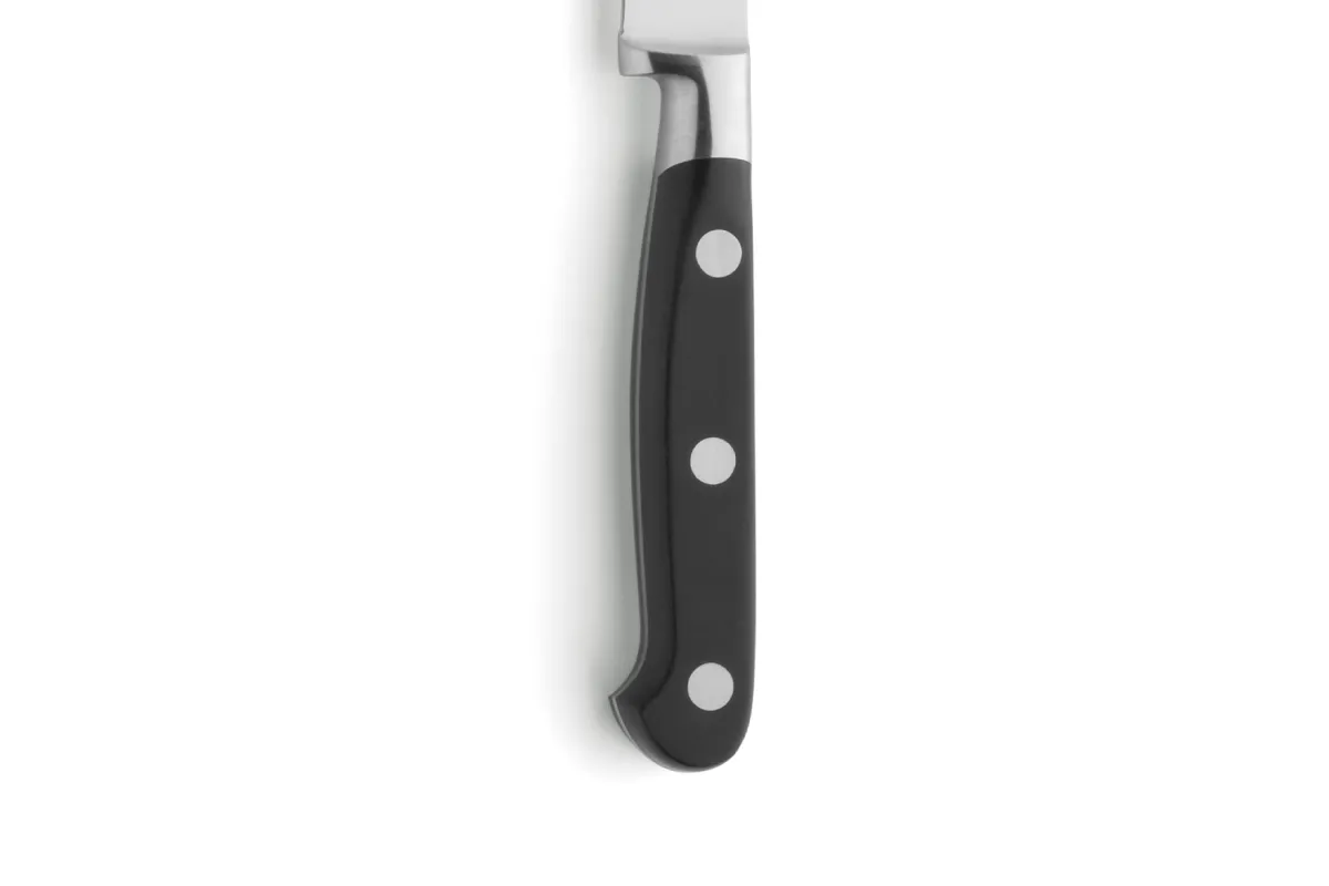 Nóż do warzyw Amefa linia V Sabatier R07000P096120