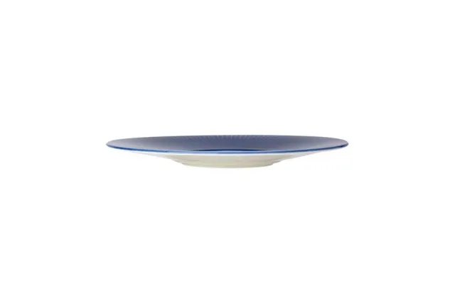 Talerz Gourmet z małym rantem Willow Azure 285 mm 9115C1172 Steelite