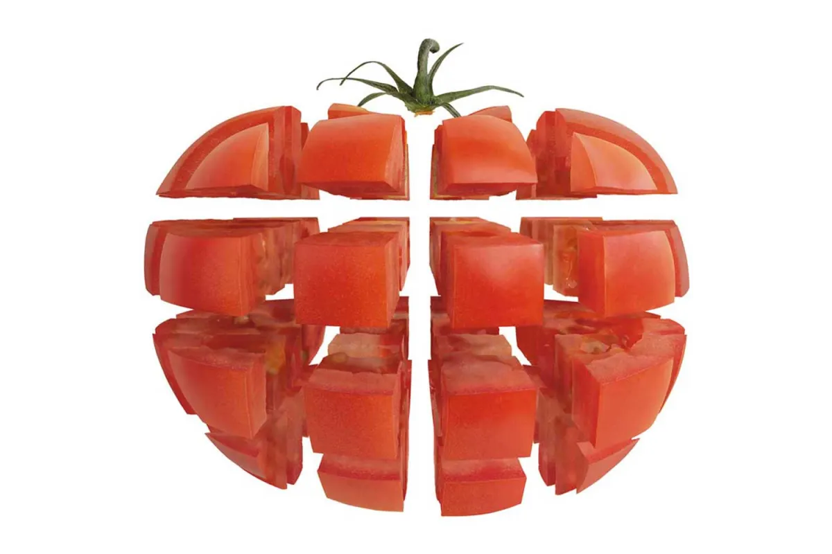 Szatkownica do warzyw, CL30 BISTRO, P 0.5 kW, U 230 V Robot Coupe 713300