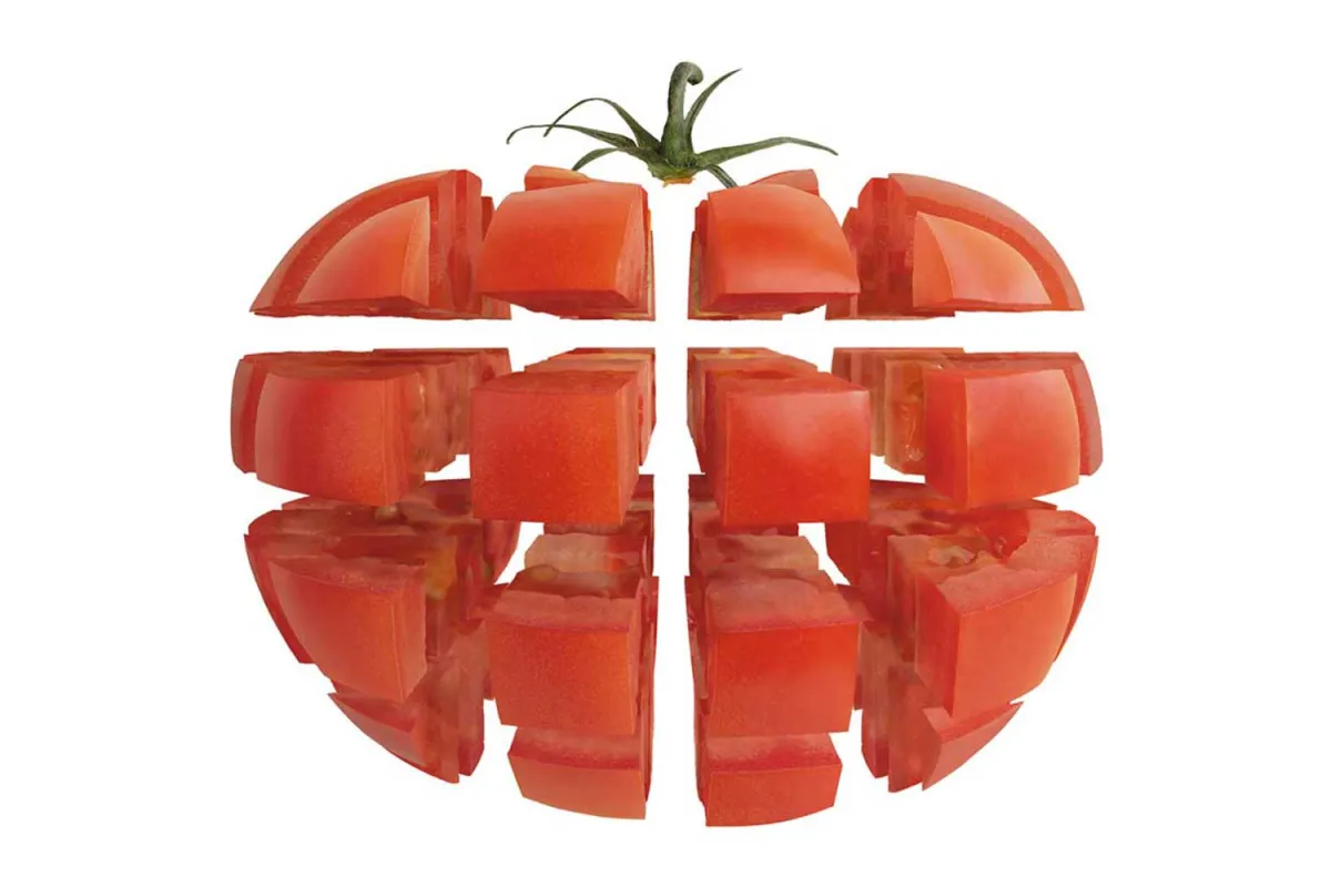 Szatkownica do warzyw, CL40, P 0.5 kW, U 230 V robot Coupe 713400