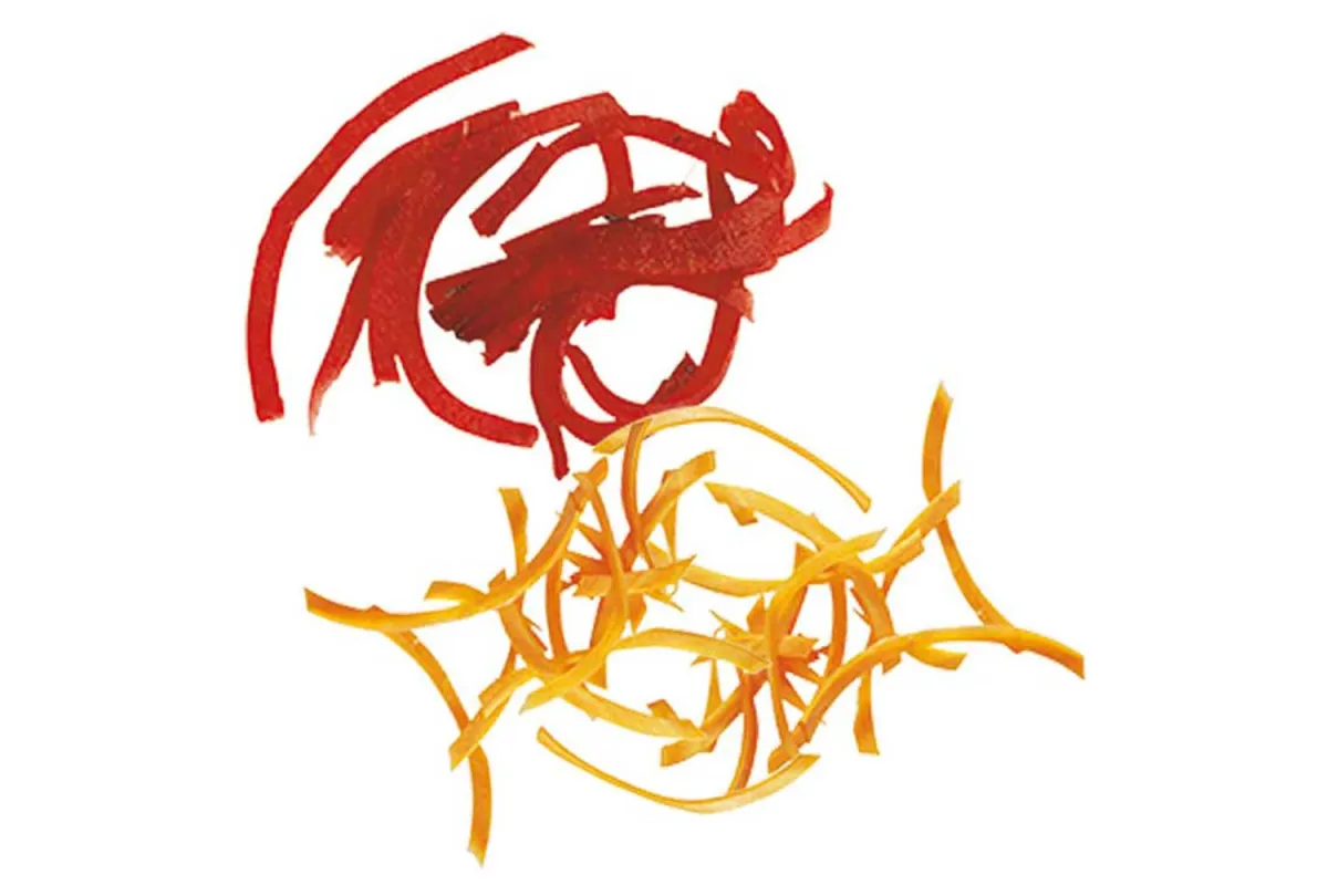 Tarcza tnąca, słupki 2x6 mm Ø 175 mm Robot Coupe 714045