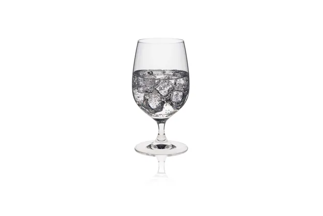 Kieliszek/pokal do wody Edition, 310ml RONA 60501100