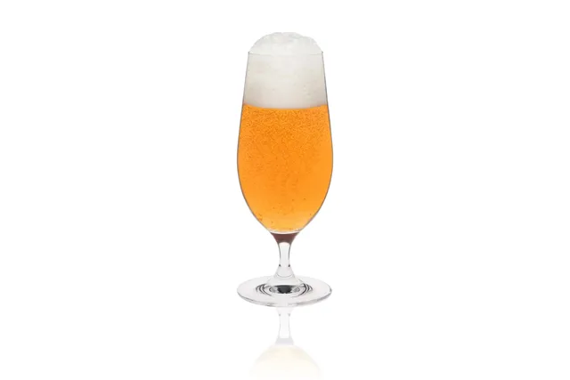 Kieliszek/pokal do piwa Invitation, 460ml RONA 60011900