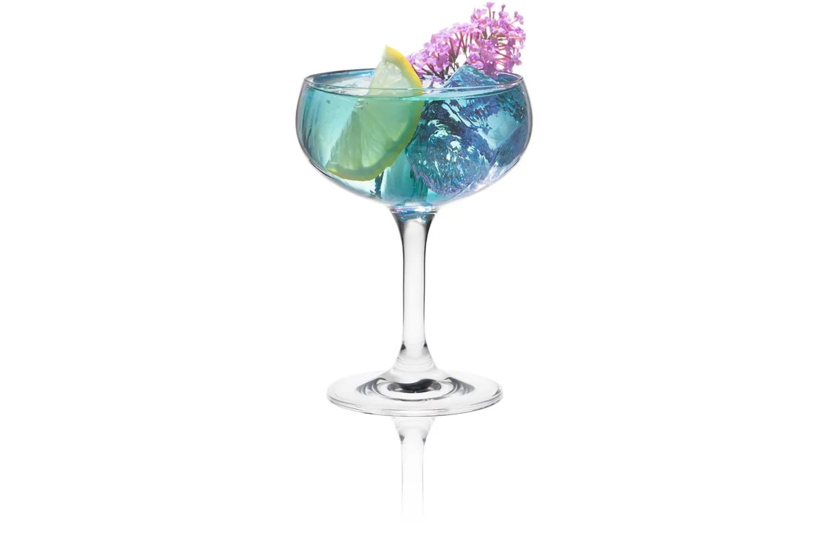 Kieliszek/czarka szampana Classic Cocktails Optic, 260ml RONA 6515P2800