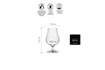 Kieliszek degustacyjny single malt whiskey, 200ml RONA 66973200