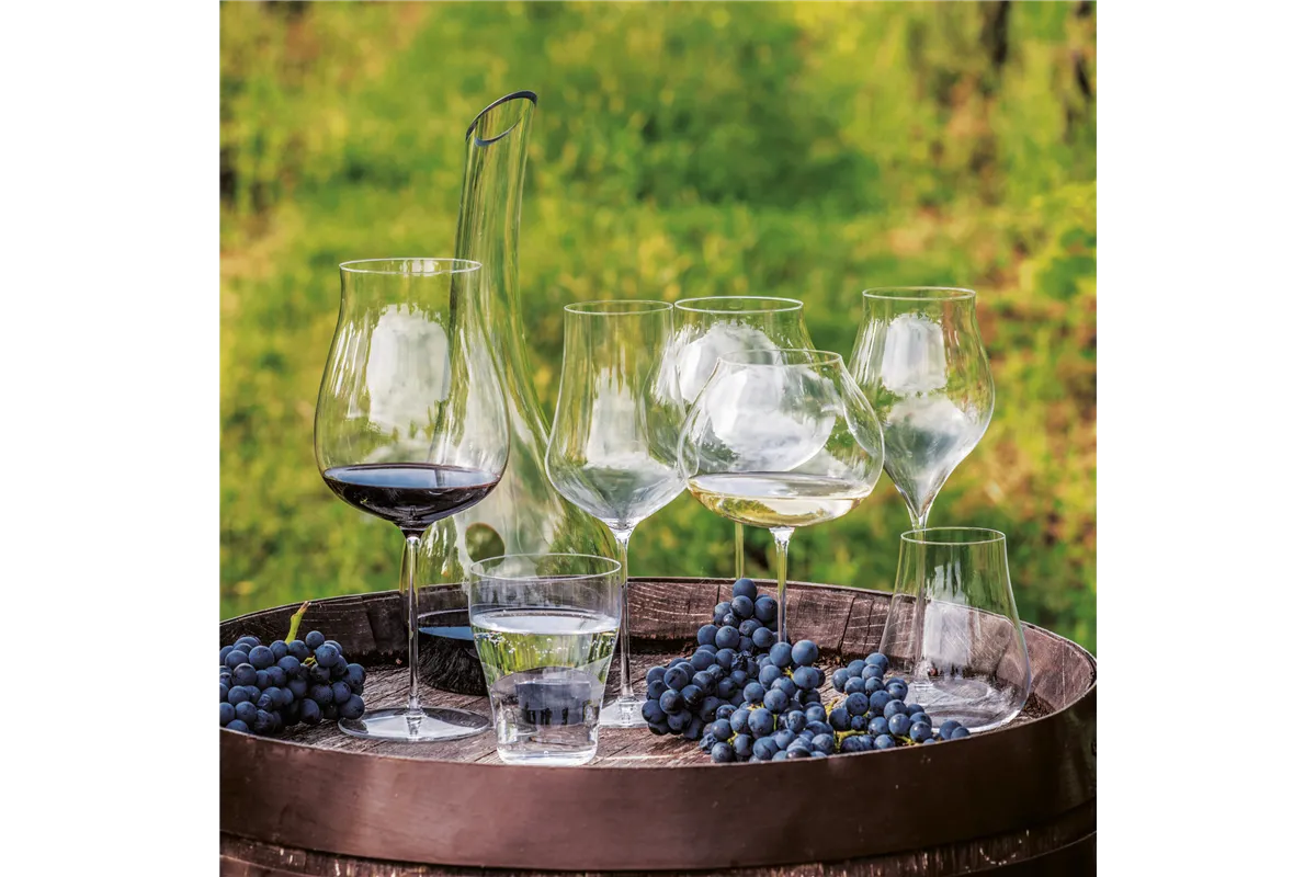 Kieliszek do win musujących Linea Umana, 500ml RONA 72873900