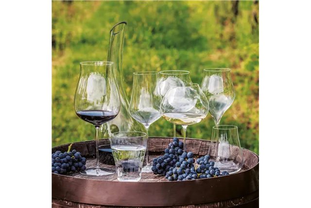 Kieliszek do win musujących Linea Umana, 500ml RONA 72873900