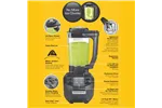Blender barmański HBB 255-CE Rio® z dzbankiem z poliwęglanu 1.4l, Hamilton Beach Commercial Hamilton Beach Commercial HBB255-CE