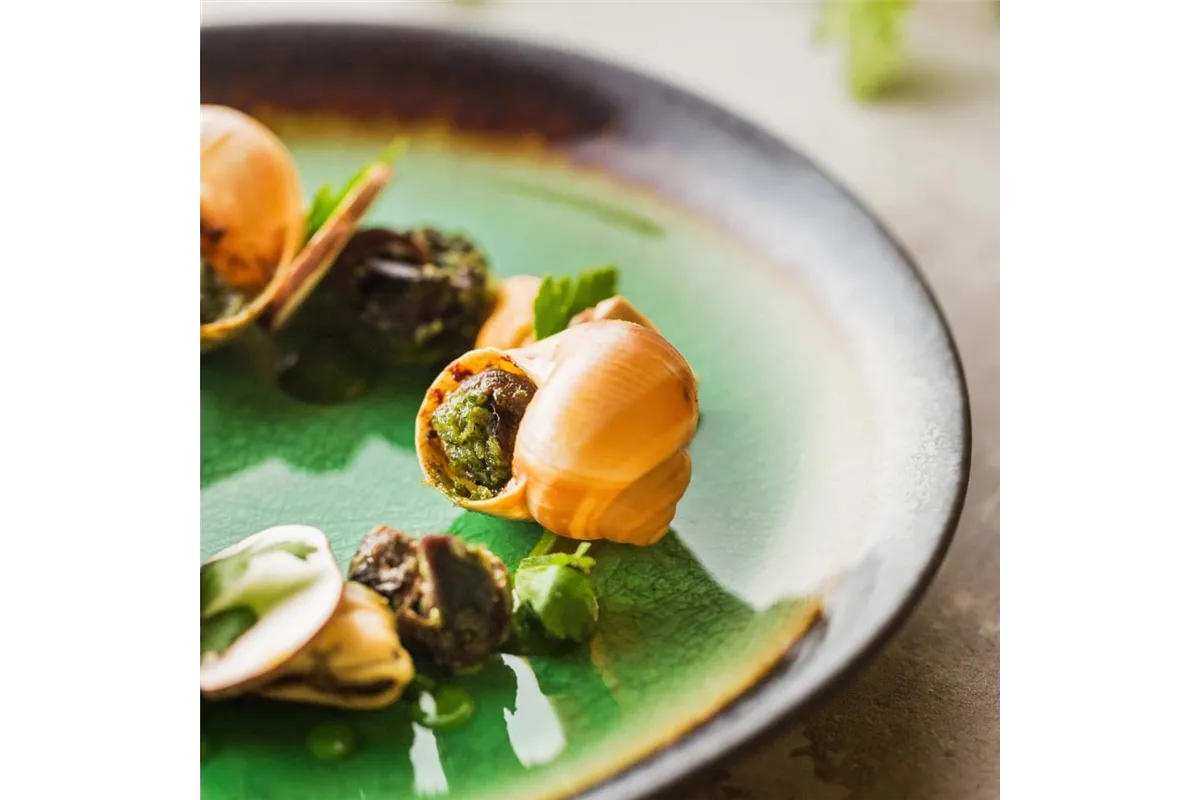 Talerz płytki Beryl 254 mm Fine Dine 772812