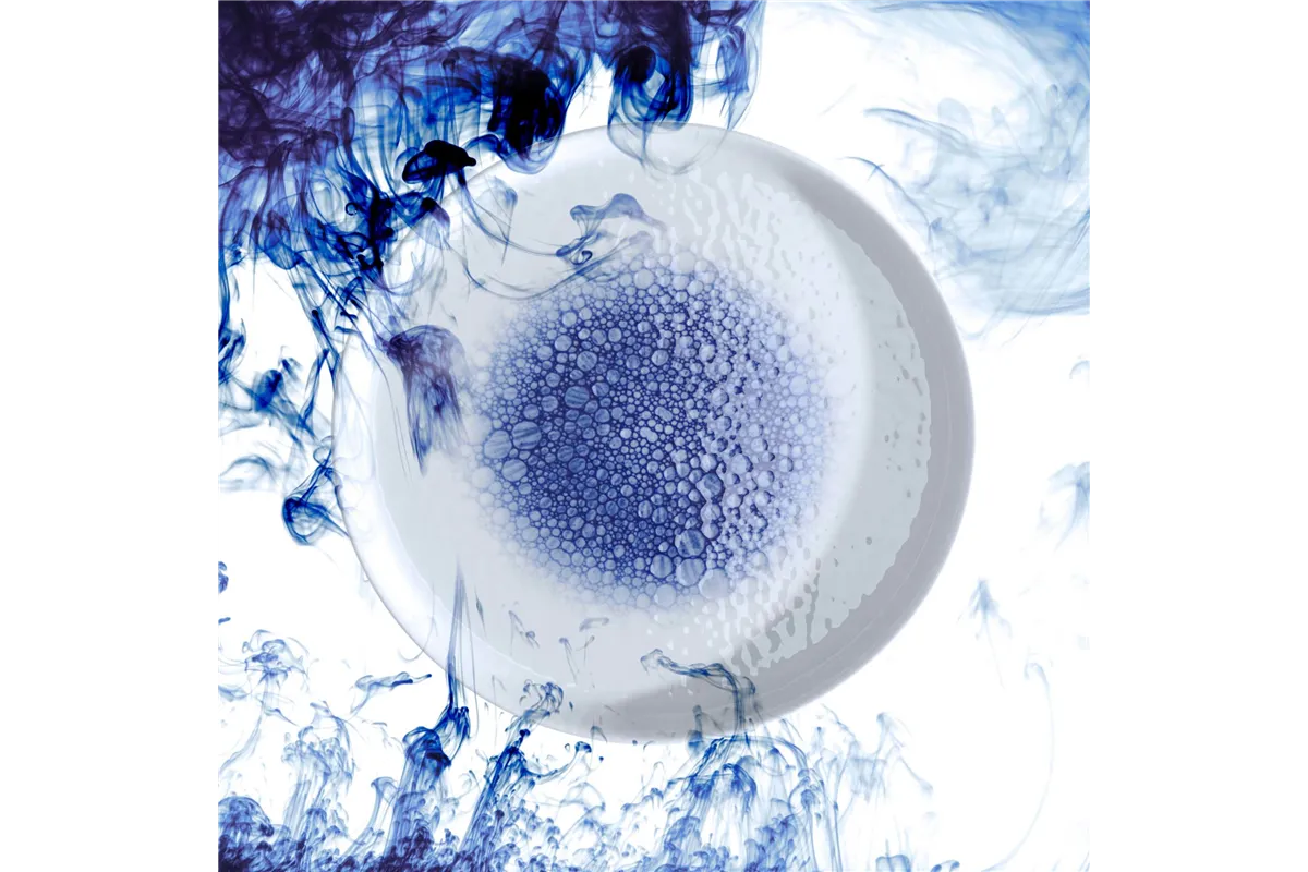 Talerz do pasty Serenity 300 mm Fine Dine 789094