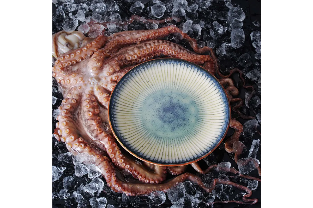 Talerz z wysokim rantem Galaxy, 210 mm Fine Dine 768891