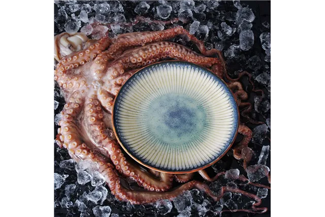 Miska Galaxy, 200 mm Fine Dine 768969 Miska Galaxy, 200 mm Fine Dine 768969