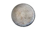 Talerz płytki Ammonite 270 mm Fine Dine 200193