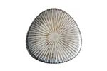 Talerz trójkątny Ammonite 260 mm Fine Dine 200292