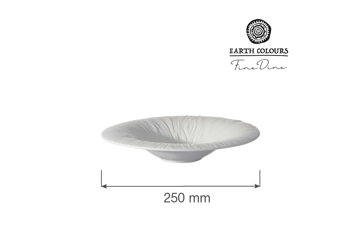 Talerz do pasty Fiord 250mm Fine Dine 788530
