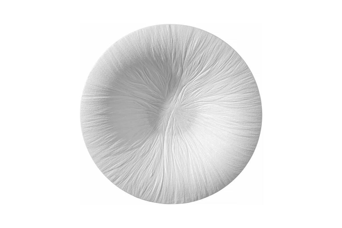 Talerz do pasty Fiord 290mm Fine Dine 788554