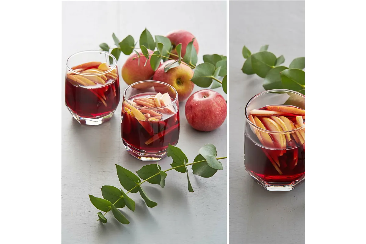 Szklanka Riga, 215ml, LAV LAV LH-RIG321KH