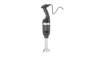 Mikser ręczny 350 ze zmienną prędkością i ramieniem miksującym 250mm, czarny, 230V/350W, fi.100x666mm Hendi 221198