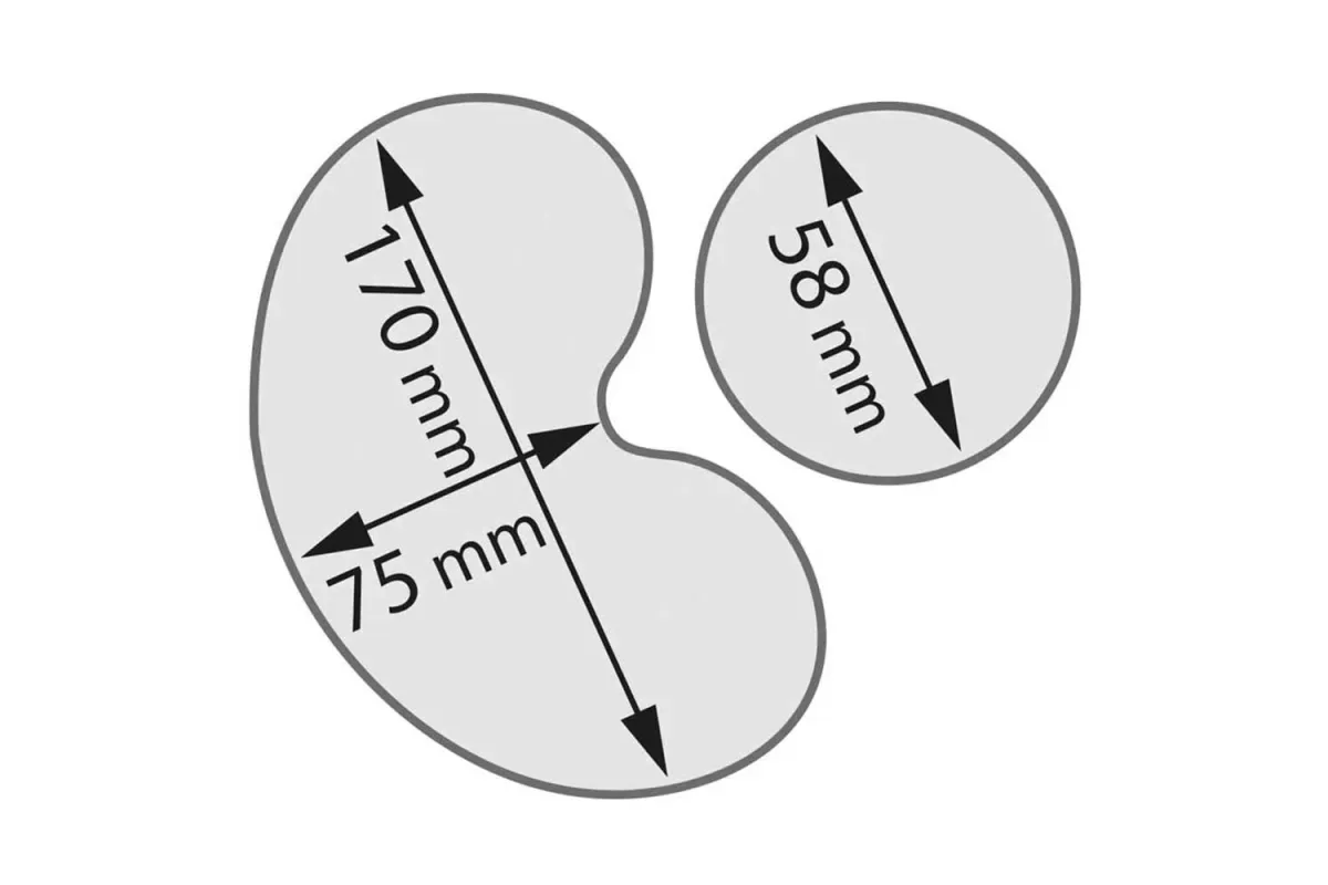 Szatkownica do warzyw, CL50, P 550 W, U 400 V Robot Coupe 713501
