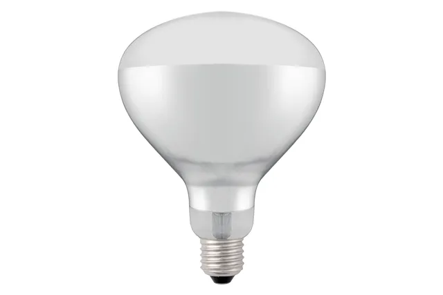 Żarówka grzewcza na podczerwień, biały, 230V/250W, ⌀125x170mm Hendi 919200