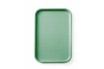 Taca fast food z polipropylenu GN 1/1, GN 1/1, zielony, 530x325x20mm, Prostokątny AmerBox 878576