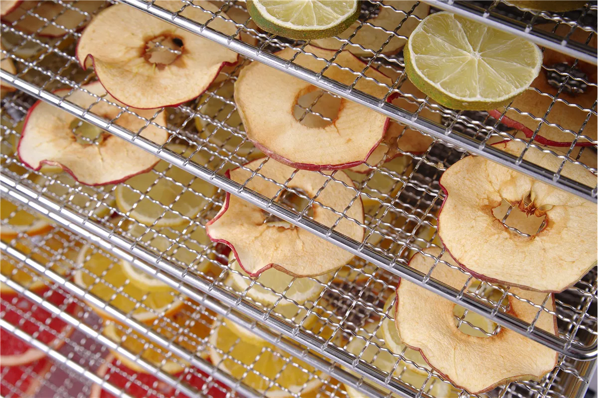 Suszarka do żywności Profi Line, Profi Line, 10 tac, 230V/1000W, 430x550x416mm Hendi 229026