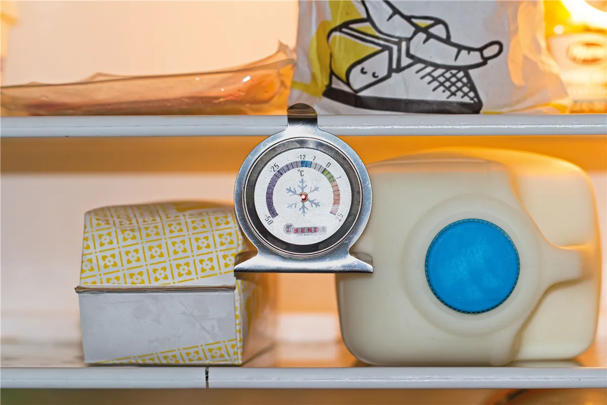 Termometr do mroźni i lodówek, 60x40x70mm Hendi 271186