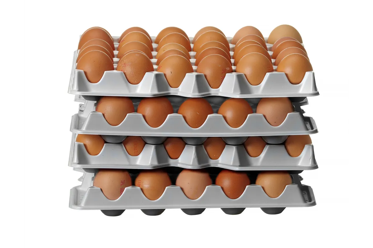 Zestaw 4 tacek na jajka HENDI OVOBOX 120, 291x288x41mm, Prostokątny Hendi 870792