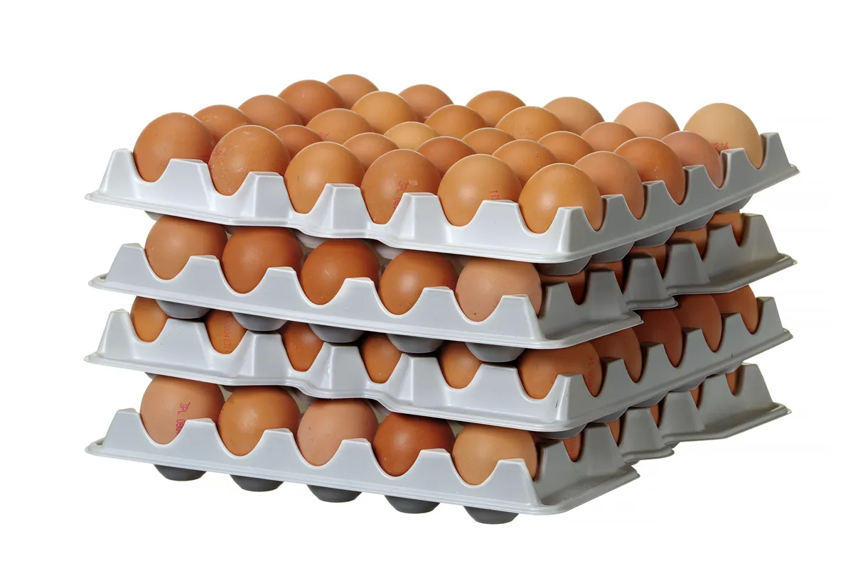 Zestaw 4 tacek na jajka HENDI OVOBOX 120, 291x288x41mm, Prostokątny Hendi 870792