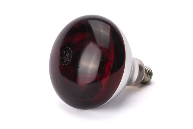 Żarówka grzewcza na podczerwień, czerwony, 230V/250W, ⌀125x170mm Hendi 919217 Żarówka grzewcza na podczerwień, czerwony, 230V/250W, ⌀125x170mm Hendi 919217