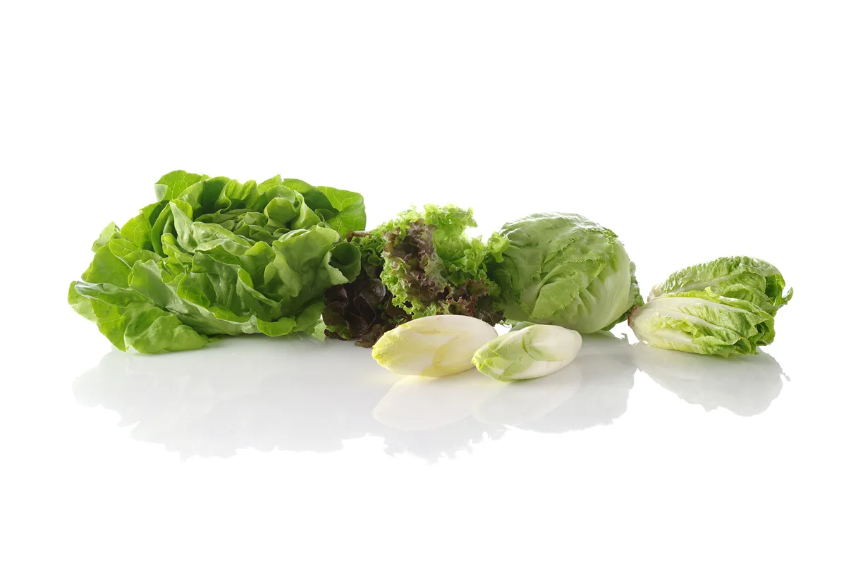 Wirówka do sałaty, 12L, zielony, ⌀335x430mm Hendi 222553