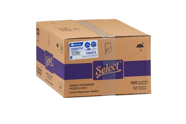 Serwetki gastronomiczne karton 4200 szt., wymiar serwetki 18 x 24 cm, 12 paczek po 350 szt.
 Merida TAB413