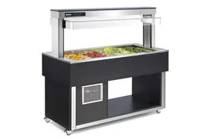 TR - green+ 4 RAL Witryna chłodnicza RM Gastro