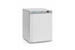 Szafa chłodnicza w obudowie ze stali malowanej na biało Budget Line, Budget Line, biały, 230V/124W, 598x623x838mm Arktic 236000