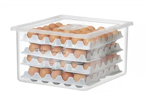Pojemnik na jajka OVOBOX 120, GN 2/3, 18L, 355x325x200mm HENDI 870785