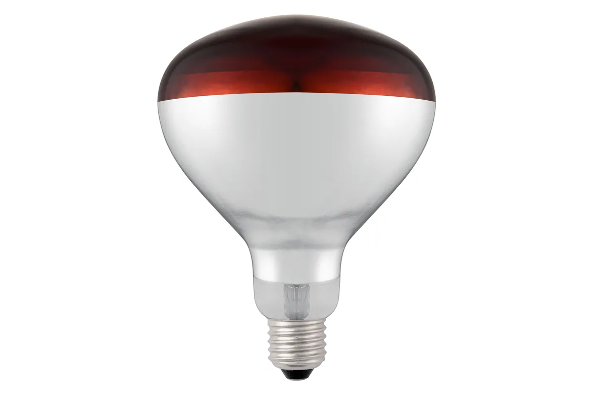 Żarówka grzewcza na podczerwień, czerwony, 230V/250W, ⌀125x170mm HENDI 919217