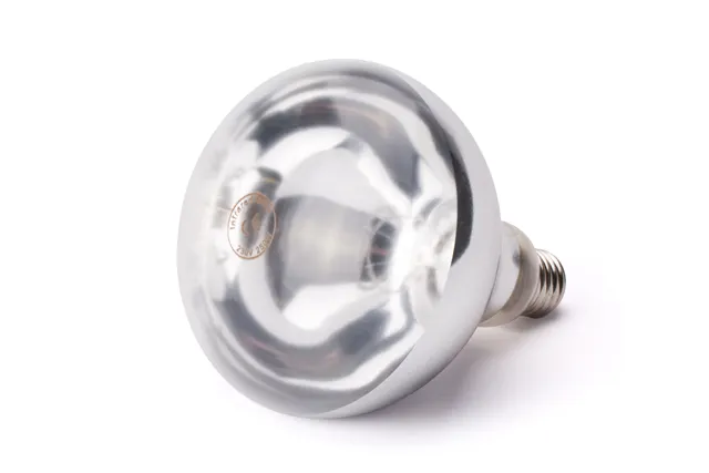 Żarówka grzewcza na podczerwień, biały, 230V/250W, ⌀125x170mm HENDI 919200