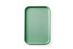 Taca fast food z polipropylenu GN 1/1, GN 1/1, zielony, 530x325x20mm, Prostokątny AmerBox 878576