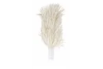 Zestaw szczotek do polerki do szkła – 2 szt., Średnie, biały, 205x55mm HENDI 230138