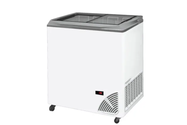 Zamrażarka z płaską szybą BYFAL ARO-300/2