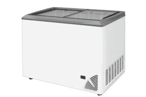 Zamrażarka z płaską szybą BYFAL ARO-400/2