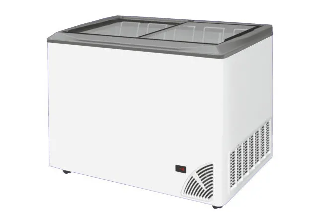 Zamrażarka z płaską szybą BYFAL ARO-400/2