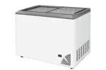 Zamrażarka z płaską szybą BYFAL ARO-400/2