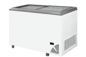 Zamrażarka do lodów z płaską szybą BYFAL ARO-501/2