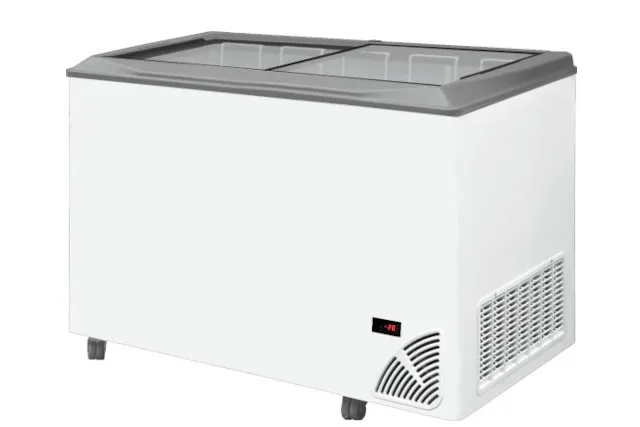 Zamrażarka do lodów z płaską szybą BYFAL ARO-501/2